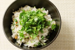 香菜ご飯 -335